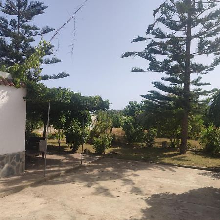 Encantadora Casa Rural Con Gran Porche San Roque  外观 照片
