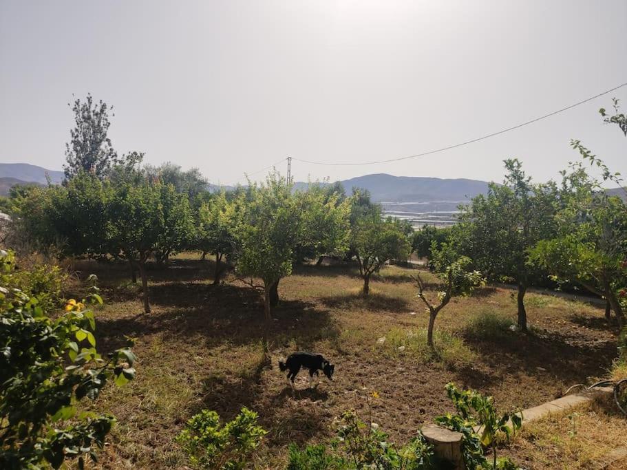 Encantadora Casa Rural Con Gran Porche San Roque  外观 照片